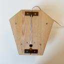 Anthroposophical carved wood wall lamp_3