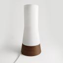 Vintage Philips teak and glass lamp 60s_2